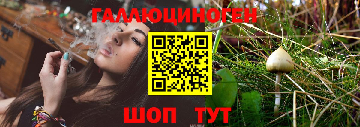 Галлюциногенные грибы GOLDEN TEACHER  Вход с VPN  Тулун 